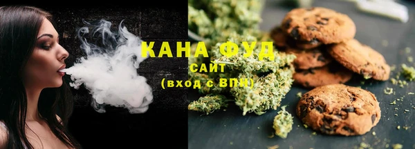 индика Абинск