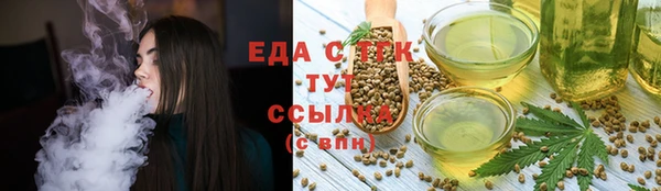 индика Абинск