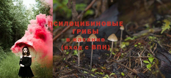 индика Абинск