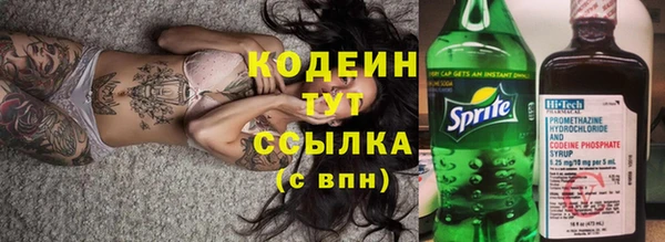 индика Абинск