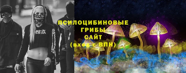индика Абинск