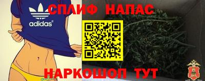spice Новозыбков