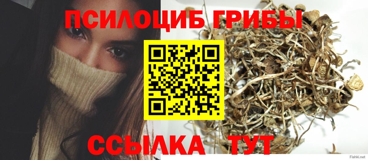 Серпухов  как найти   Псилоцибиновые грибы Cubensis  Вход с VPN  Псилоцибиновые грибы Psilocybine cubensis 